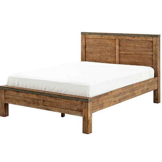 Lit Mimosa Lit Mimosa