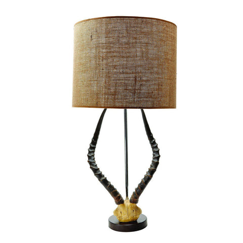 Lampe en crâne de gazelle